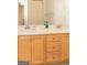 Bathroom vanity featuring double sinks, neutral countertops, and light wood cabinets at 17 Hampton Way, Carrollton, GA 30116
