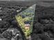 Aerial view shows the property's surrounding green space in contrast to the monochrome wooded areas at 95 Fern Ct, Stockbridge, GA 30281