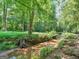 A gently flowing stream winds through lush greenery, creating a peaceful and serene natural setting at 95 Fern Ct, Stockbridge, GA 30281