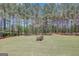 Backyard features a lush lawn and mature trees, providing a private and serene outdoor setting at 105 New Castle Ln, Tyrone, GA 30290