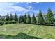 Large backyard featuring well-kept grass, trees, and a metal fence at 7575 Old Camp Lndg, Cumming, GA 30040