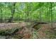 Lush backyard scene featuring a small stream, mature trees, and natural foliage, creating a serene and private setting at 2967 Albright Commons, Kennesaw, GA 30144