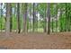 Scenic backyard view of mature trees and lush greenery creating a tranquil atmosphere at 302 Welton Way, Peachtree City, GA 30269