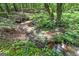 A natural creek flows through the wooded property with a rich landscape of vegetation at 40 Salem Ct, Mcdonough, GA 30252