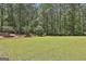 Large green backyard with mature trees offering a serene and private setting at 120 Laurel Forest Dr, Tyrone, GA 30290