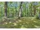 The backyard features mature trees, offering ample shade and a serene setting at 886 Pine Needle Rd, Hampton, GA 30228