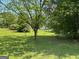 Picturesque backyard featuring mature trees with a serene and expansive lawn at 18 North Ave, Hampton, GA 30228