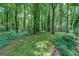 Expansive backyard featuring mature trees and a mossy lawn, perfect for outdoor activities at 357 Oak Hill Rd, Covington, GA 30016