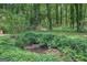 View of backyard with a creek surrounded by many green plants at 357 Oak Hill Rd, Covington, GA 30016