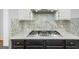Close up of the stove in the modern kitchen with white marble backsplash at 1202 Persimmon Way, Mcdonough, GA 30252
