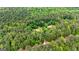 Bird's-eye view of a single-Gathering home surrounded by a forest of trees, creating a private and secluded living space at 130 Brooklet Way, Brooks, GA 30205