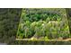Aerial view of wooded property highlighting the home's setting amidst lush greenery and mature trees at 130 Brooklet Way, Brooks, GA 30205