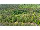 Aerial view of a serene single-Gathering home nestled among a dense canopy of trees, creating a private retreat at 130 Brooklet Way, Brooks, GA 30205