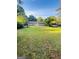 Large backyard with mature trees and green lawn, offering a serene and private outdoor setting at 229 Timberland Trl, Riverdale, GA 30274