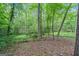 Beautiful treed backyard with lush greenery, highlighting a private outdoor space at 480 Holly Hills Ln, Mcdonough, GA 30252