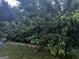 Shows the backyard filled with green foliage and tree life that provides substantial privacy for the home at 10937 Southwood Dr, Hampton, GA 30228