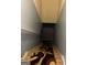 Carpeted stairs leading to lower level at 10937 Southwood Dr, Hampton, GA 30228