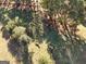 Aerial view of grazing livestock within a fenced enclosure nestled among shady trees on a vast property at 228 Indian Creek Rd, Locust Grove, GA 30248