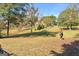 Picturesque scene of a horse grazing in a spacious yard with a charming home in the background at 228 Indian Creek Rd, Locust Grove, GA 30248