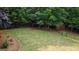 A spacious, green backyard featuring a fence, trees, shed, and lush greenery at 1118 Sequoia Trl, Mcdonough, GA 30252