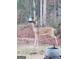 The yard has a deer eating from a bird feeder with mature trees at 105 Harris Ct, Stockbridge, GA 30281