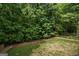 Aerial view of a lush, green backyard surrounded by mature trees, providing privacy and a serene environment at 126 Ardenlee Dr, Peachtree City, GA 30269