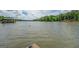 Expansive lake view showcasing serene waters, lush trees, and covered boat dock at 22 Waters Bridge Cir, Covington, GA 30014