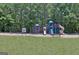 Community playground area features multiple slides, swings, and a picnic area nearby at 112 Windalier Rdg, Peachtree City, GA 30269