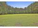 Wide view of large, grassy backyard surrounded by tall trees at 391 Massengale Rd, Brooks, GA 30205