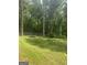 Large backyard with green grass and many trees. Features a trampoline at 288 Harper Se Rd, Atlanta, GA 30315