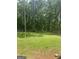 Large backyard with soccer nets, trampoline, green grass, and many trees at 288 Harper Se Rd, Atlanta, GA 30315