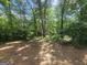 Spacious wooded backyard at 367 Frashier Rd, Carrollton, GA 30116
