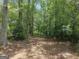 Large and private backyard is heavily wooded at 367 Frashier Rd, Carrollton, GA 30116