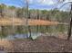 Lakefront view with kayak near the edge of the water and tree line at 637 Lakeview Dr, Newborn, GA 30056