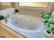 Close up shot of soaking tub with jets, window view, and decorated with plants at 4180 Mount Paran Dr, Social Circle, GA 30025