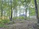 The lot features a wooded area with a backyard fence, but needs some landscaping work at 227 Wet Wood Ct, Fairburn, GA 30213