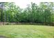 Expansive, grassy backyard surrounded by lush trees and a sturdy wooden fence providing privacy at 227 Wet Wood Ct, Fairburn, GA 30213