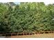 Backyard view features privacy landscaping with a wooden fence at 150 Murphy Creek Ln, Fayetteville, GA 30215