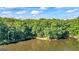 Aerial view of a lake surrounded by lush green trees under a cloudy blue sky at 1813 Freeman Rd, Jonesboro, GA 30236