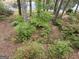 Backyard with a fenced area, lush trees, and colorful azalea bushes overlooking the lake at 5028 Chapel Lake Cir, Douglasville, GA 30135