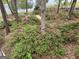 Lush yard with azaleas, mature trees, and a partial lake view at 5028 Chapel Lake Cir, Douglasville, GA 30135