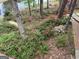 Gorgeous yard with pink and white flowers near the lake at 5028 Chapel Lake Cir, Douglasville, GA 30135