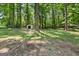 Large, private backyard featuring mature trees and a storage shed at 37 S Forty Pass W, Hiram, GA 30141
