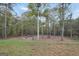 Large backyard featuring mature trees with a firepit and wooded backdrop at 3911 Peeksville Rd, Locust Grove, GA 30248