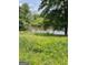 Backyard featuring a pond and a mature tree canopy at 201 Summerford Pl, Stockbridge, GA 30281