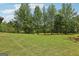 Backyard with expansive green lawn with rows of tall green trees on a bright sunny day at 411 Johnson Rd, Locust Grove, GA 30248