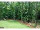 A scenic view of a backyard featuring lush green grass and dense woodland with tall trees at 214 Wet Wood Ct # 26, Fairburn, GA 30213