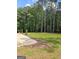 Large, open backyard with fresh green grass, mulch area, framed by lush green trees at 175 Forest Lake Dr, Fayetteville, GA 30215