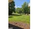 Well-manicured front lawn with mature trees and lush green grass at 175 Forest Lake Dr, Fayetteville, GA 30215