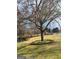 Beautifully landscaped yard with a mature tree, flower bed and lush green grass at 557 Arrowhead Cir, Rutledge, GA 30663
